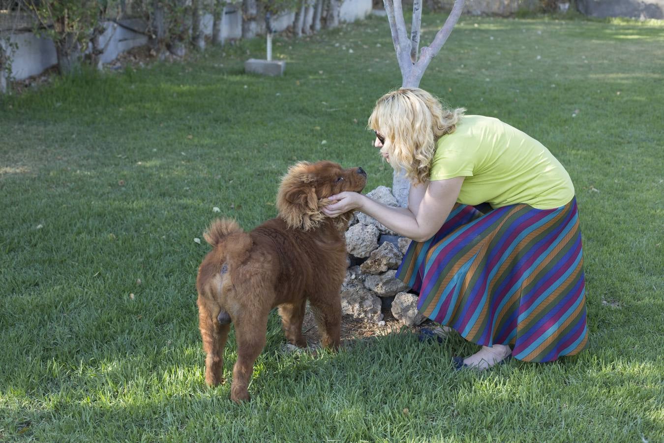 De vacaciones perrunas