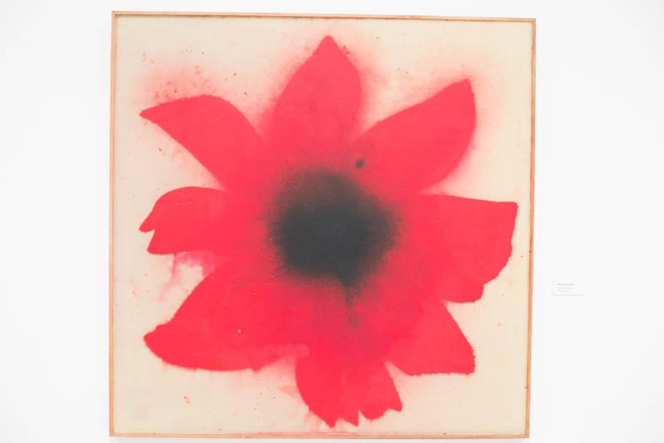 La colección Himalaya llega al Museo CajaGranada con obras de autores contemporáneos como Barceló o Gordillo