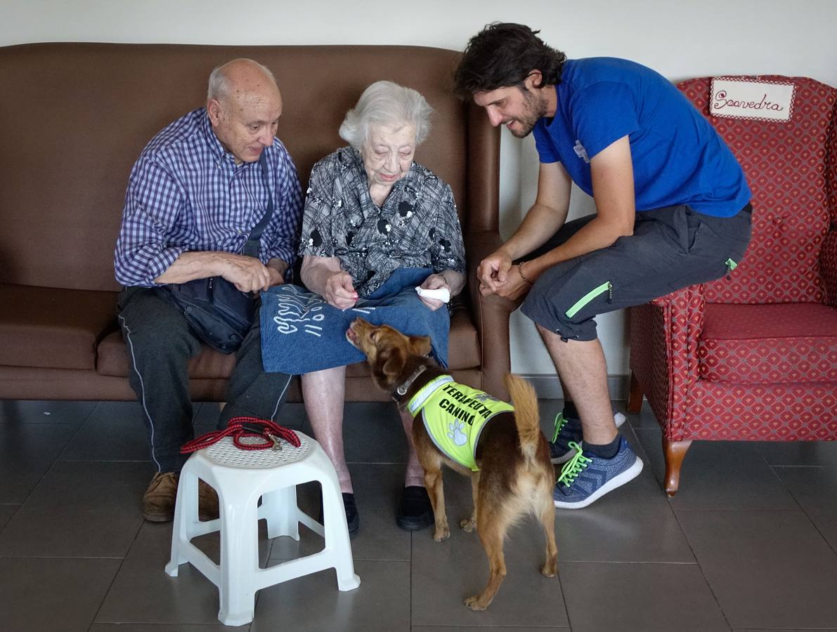 La sonrisa por contacto