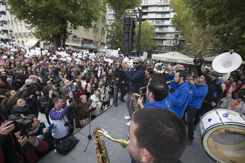 Granada en la calle &quot;por dos hospitales completos&quot;