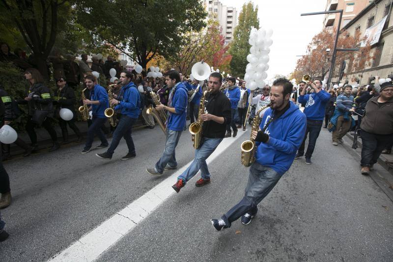 Granada en la calle &quot;por dos hospitales completos&quot;