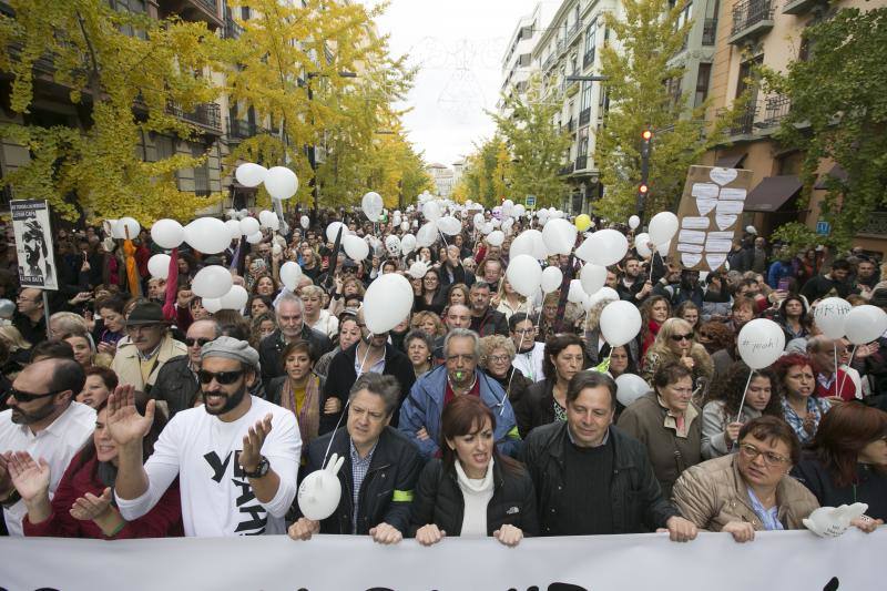 Granada en la calle &quot;por dos hospitales completos&quot;