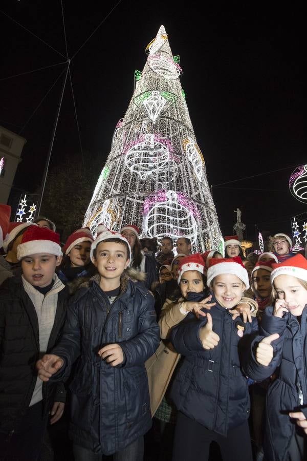 1,5 millones de &#039;leds&#039; iluminan la Navidad de Granada