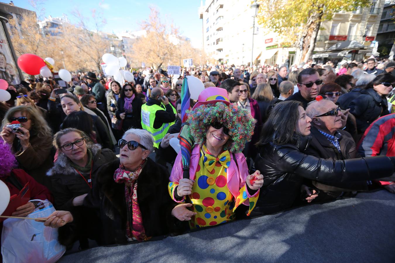 Granada pide «dos hospitales completos» por tercera vez en tres meses