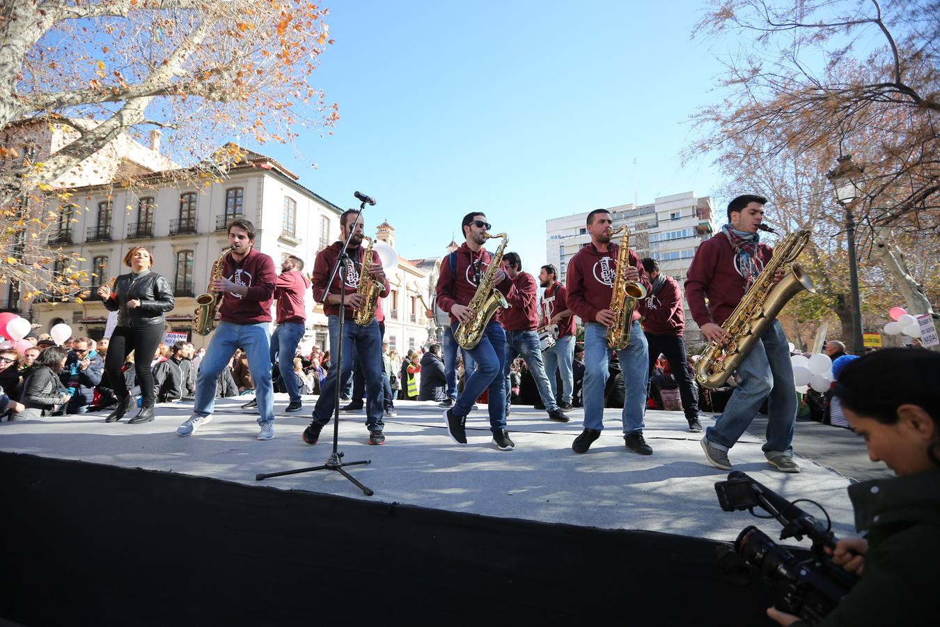 Granada pide «dos hospitales completos» por tercera vez en tres meses