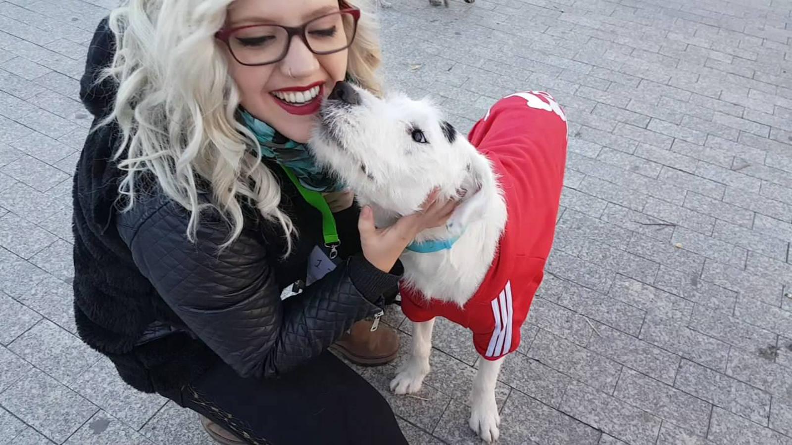 En busca de un hogar