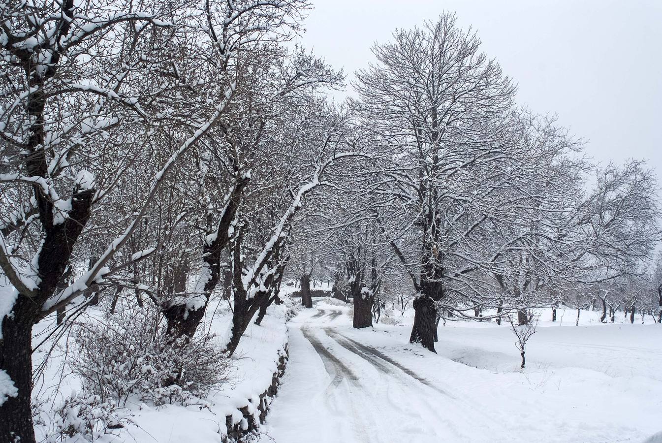 Nieve en la Comarca de Guadix