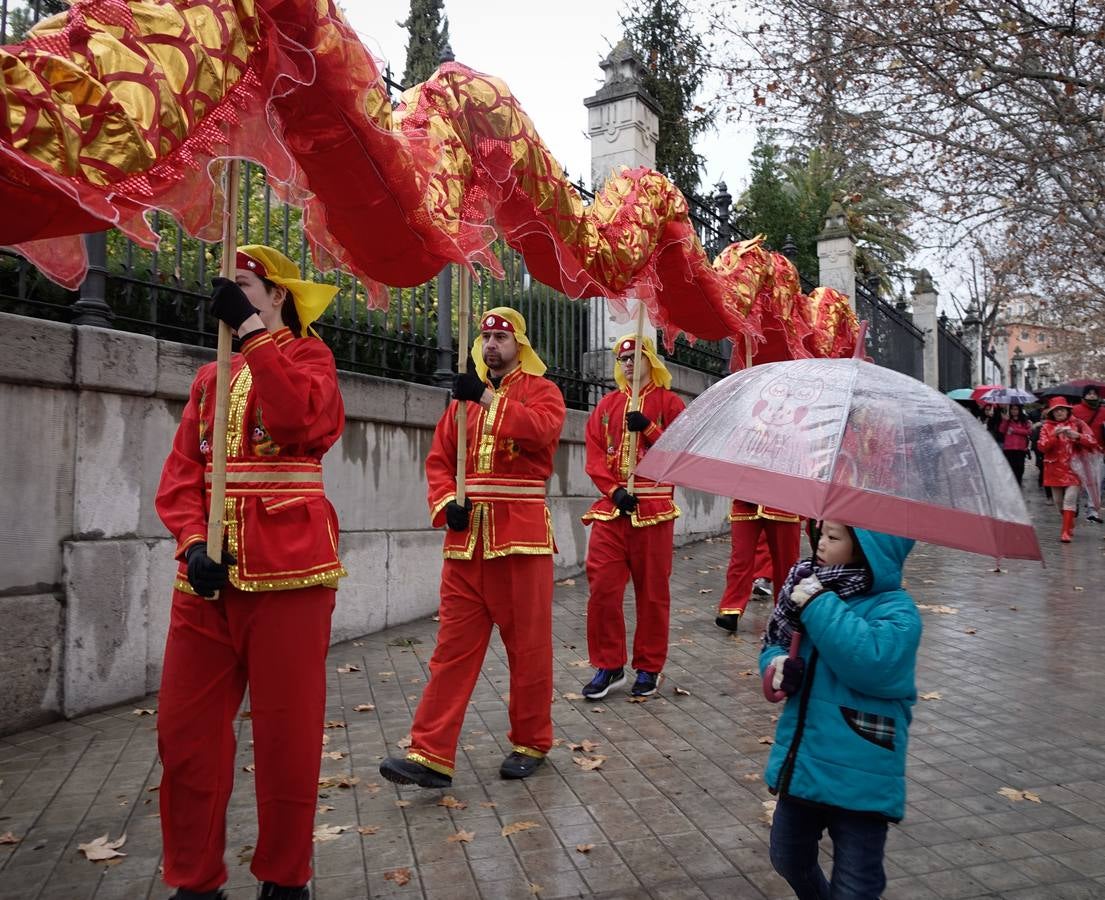 Granada celebra el Año Nuevo chino