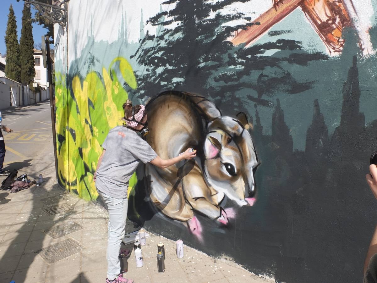 El graffiti en Granada ve la luz (II)