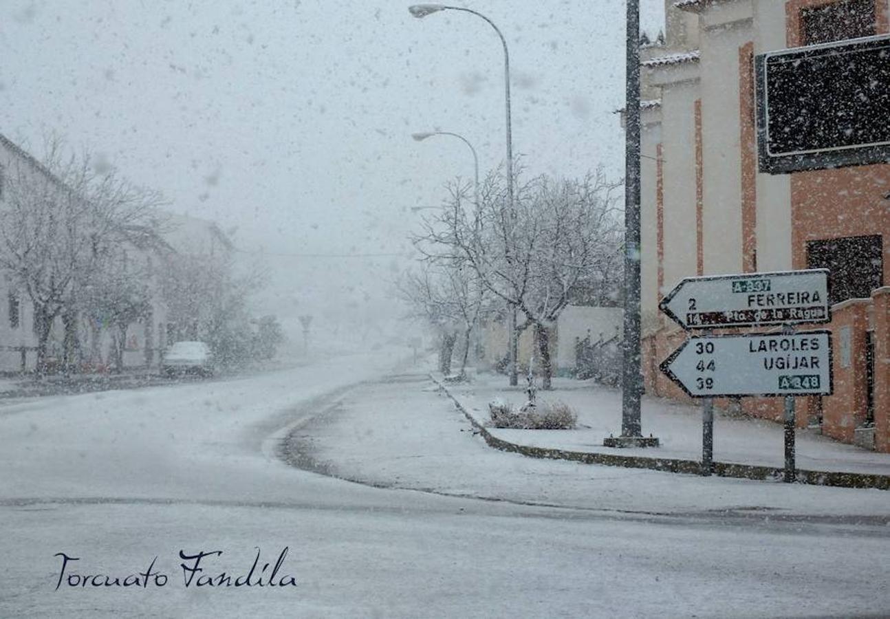 La comarca de Guadix queda cubierta de nieve