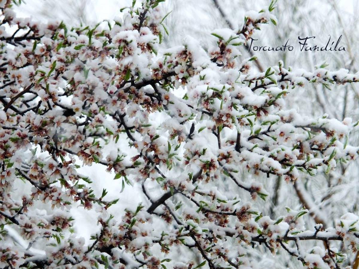 La comarca de Guadix queda cubierta de nieve