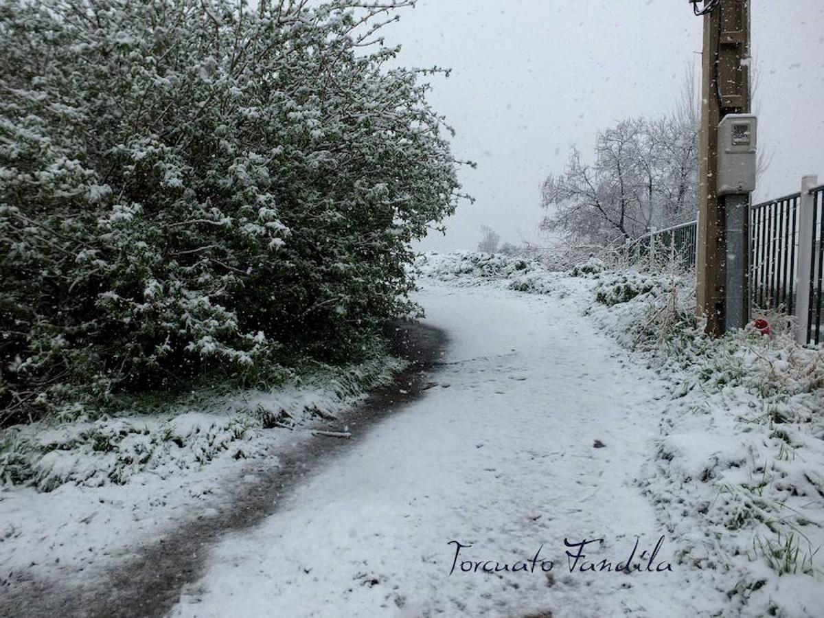 La comarca de Guadix queda cubierta de nieve