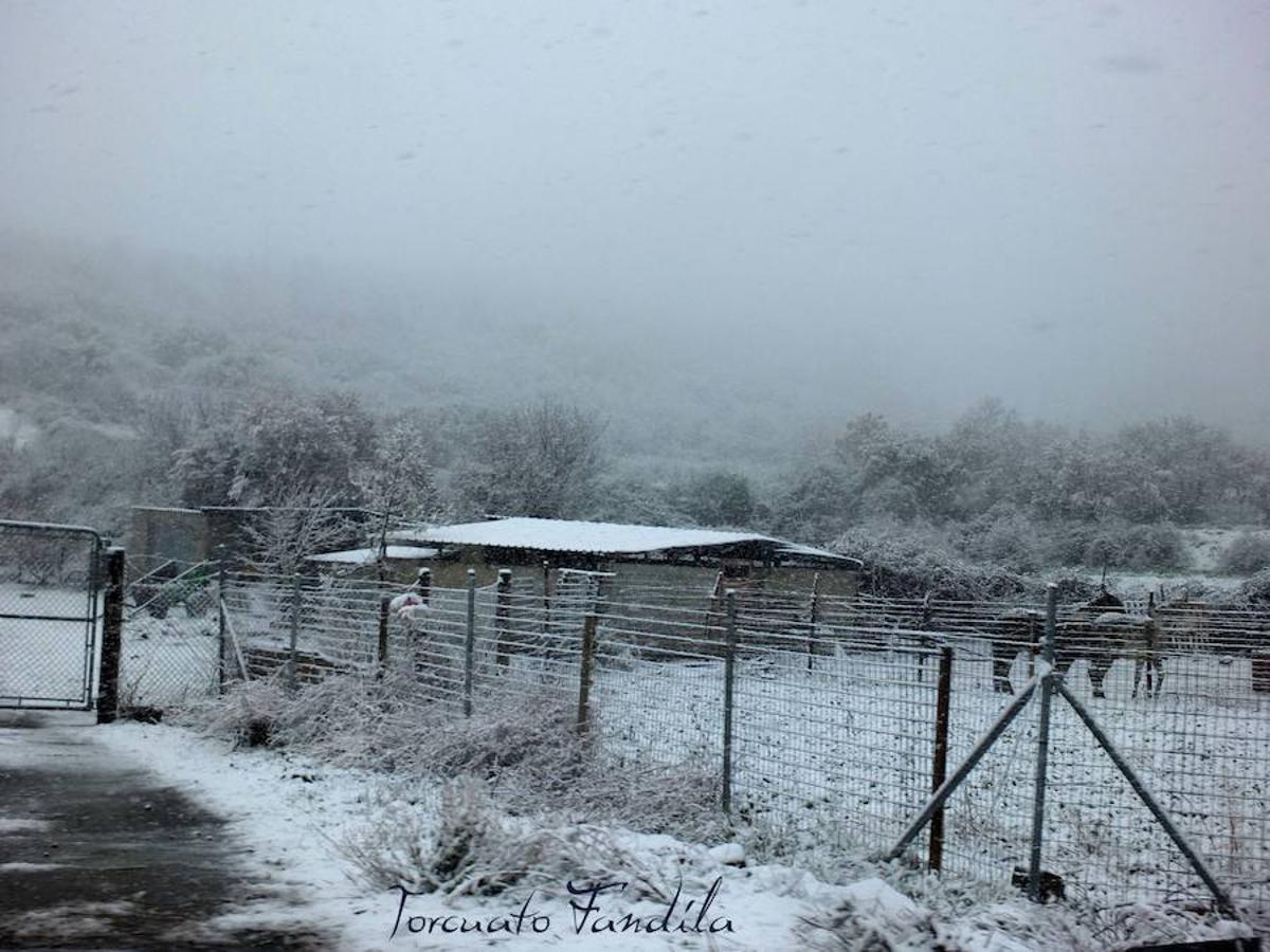 La comarca de Guadix queda cubierta de nieve