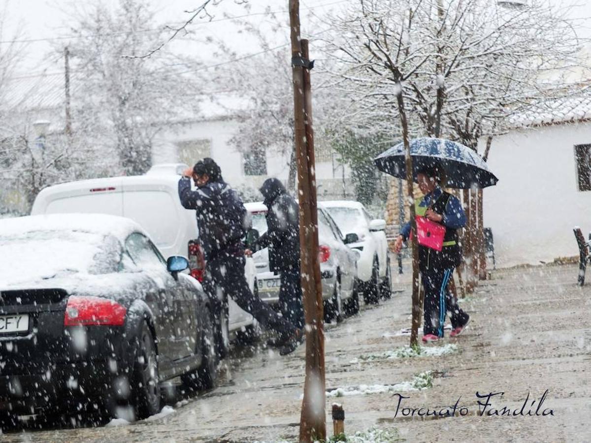 La comarca de Guadix queda cubierta de nieve