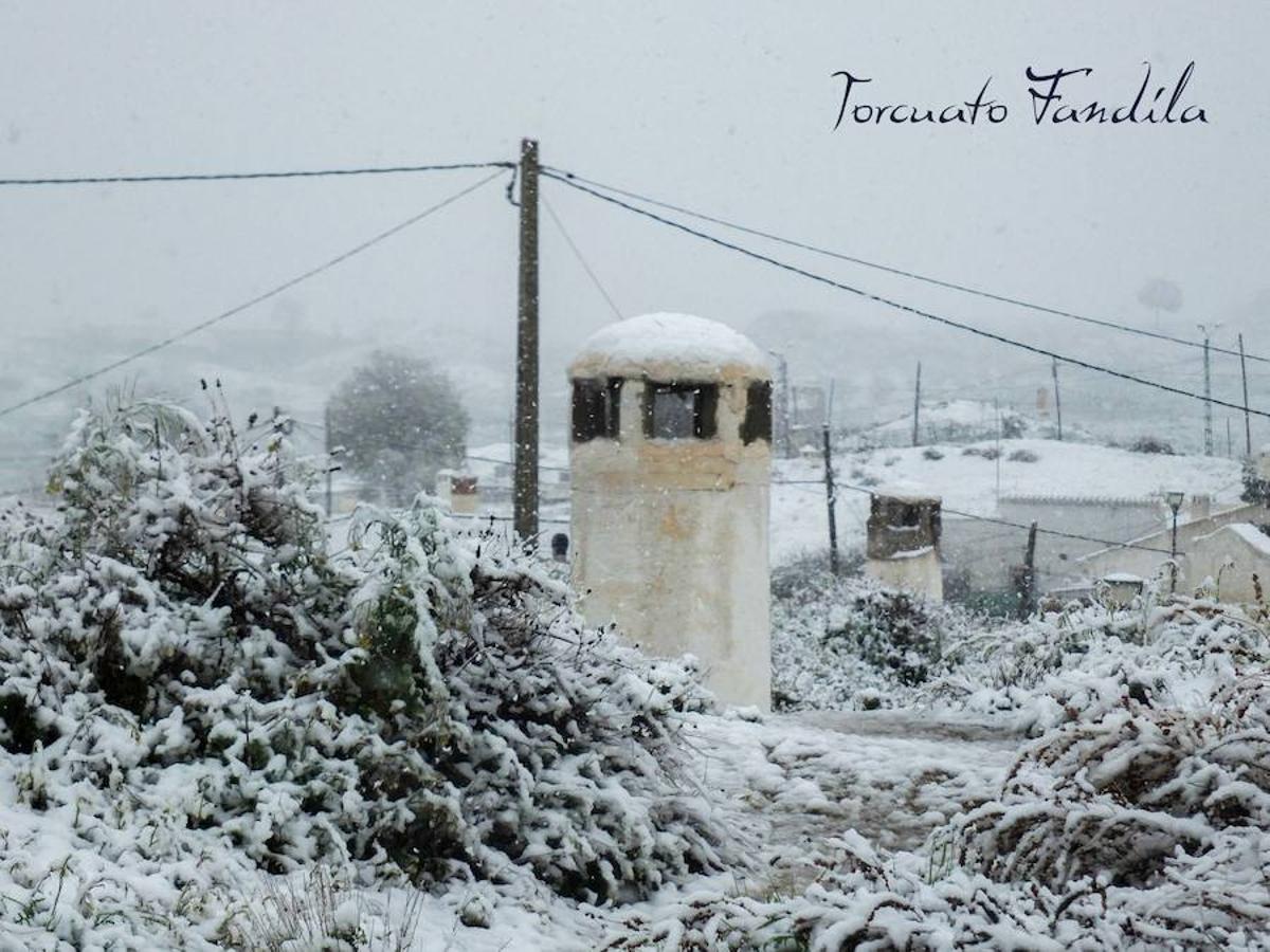 La comarca de Guadix queda cubierta de nieve