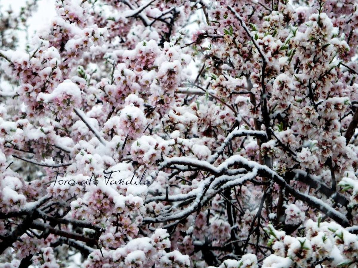 La comarca de Guadix queda cubierta de nieve