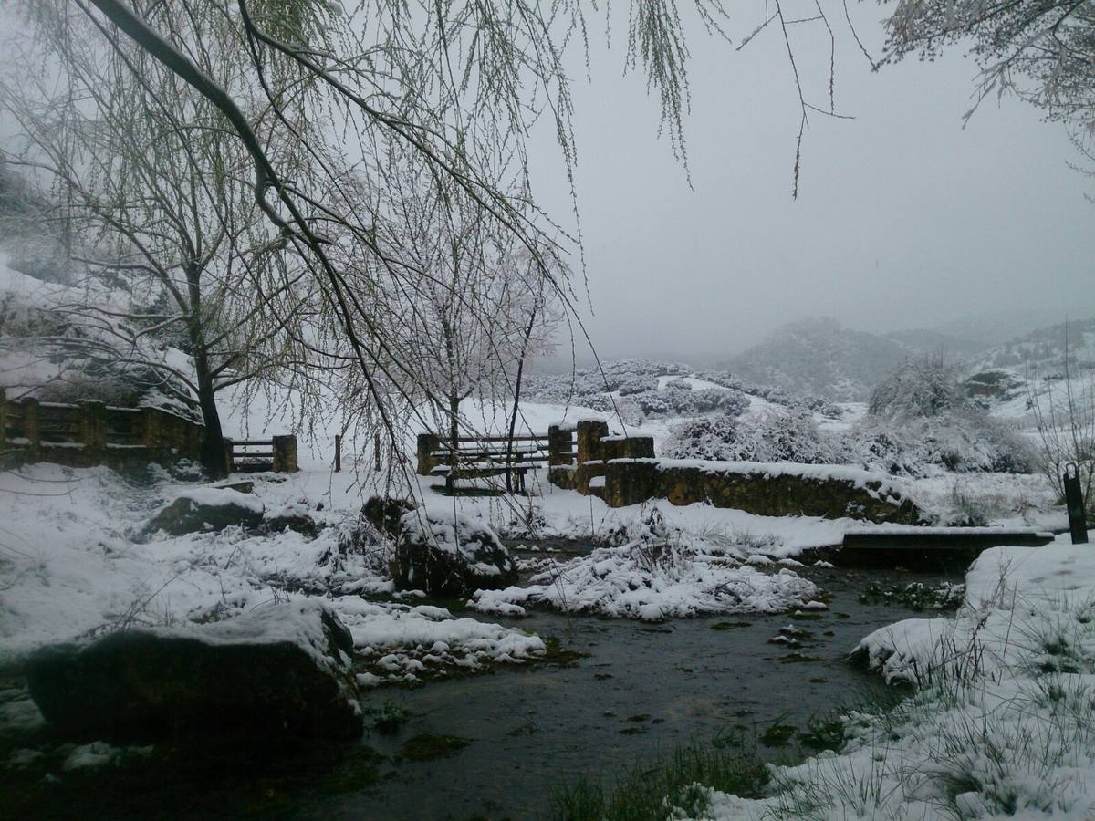 Así ha lucido hoy la provincia helada