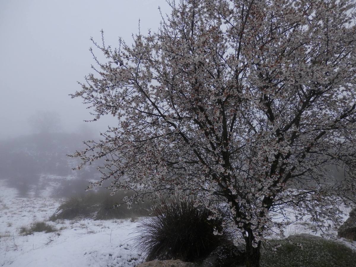 Así ha lucido hoy la provincia helada