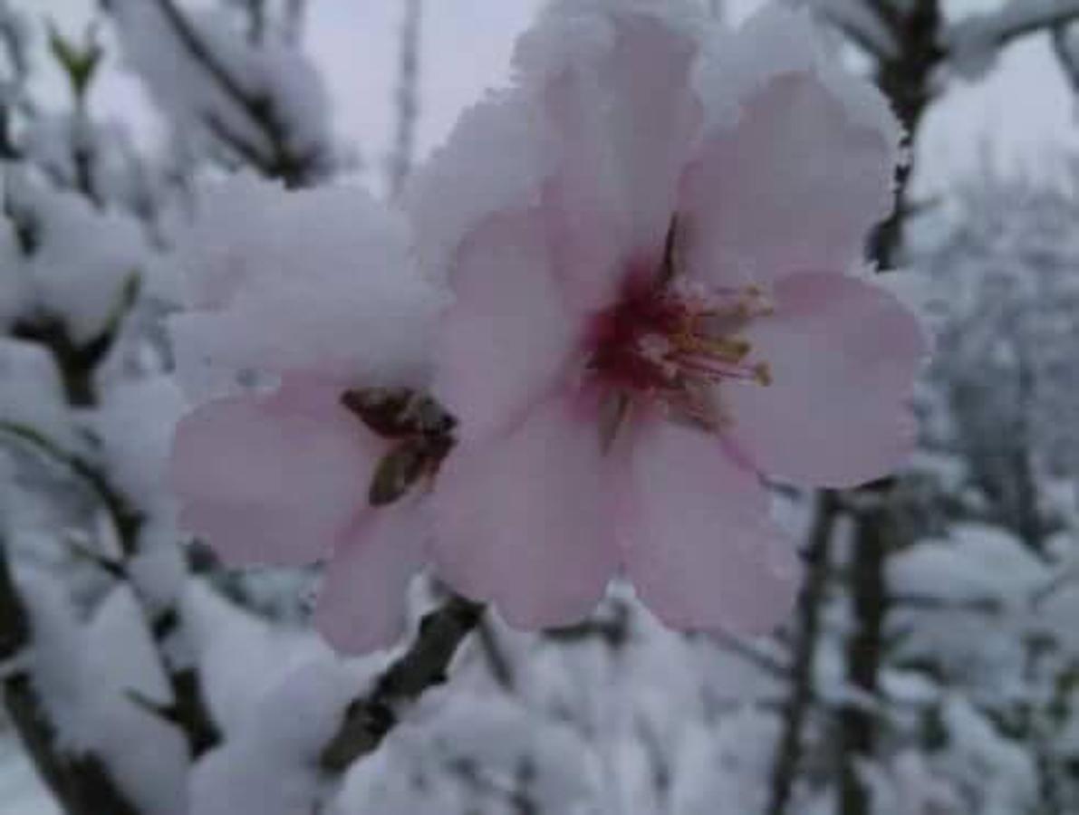Así ha lucido hoy la provincia helada