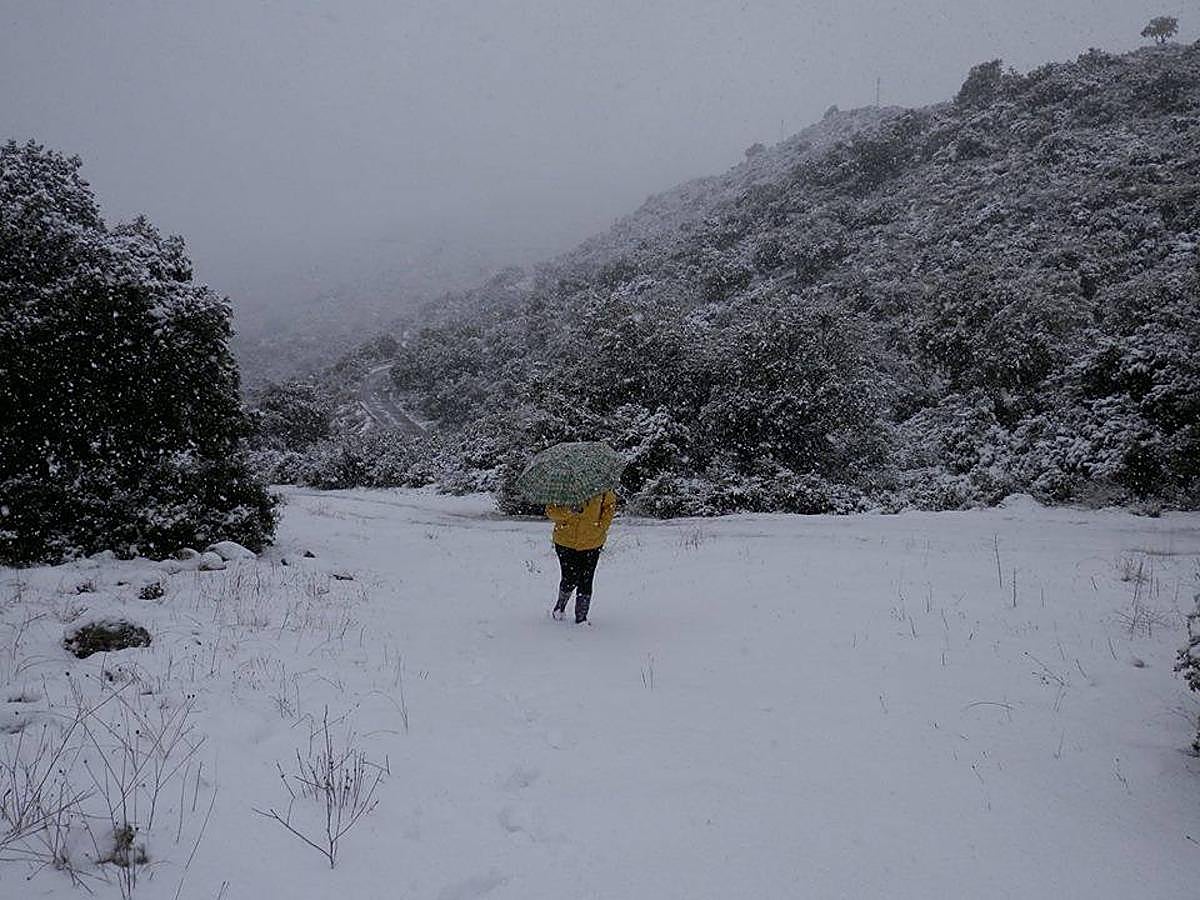 Así ha lucido hoy la provincia helada