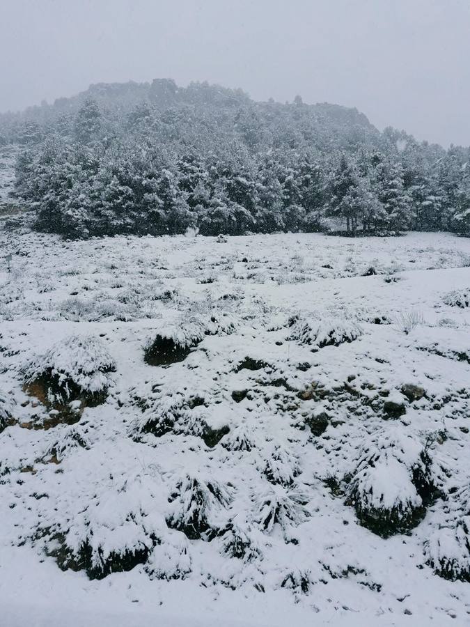 Así ha lucido hoy la provincia helada