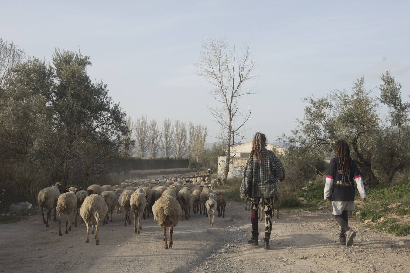 La Fiesta del Dragón de Santa Fe arranca sin fecha de cierre
