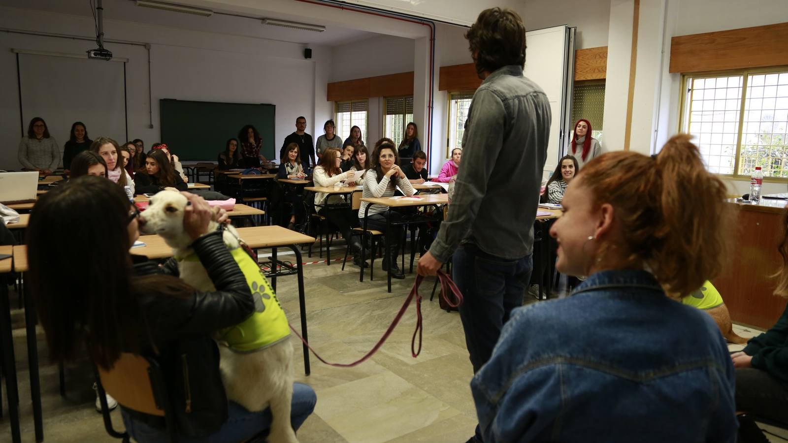 Los perros también &#039;enseñan&#039; en la UGR