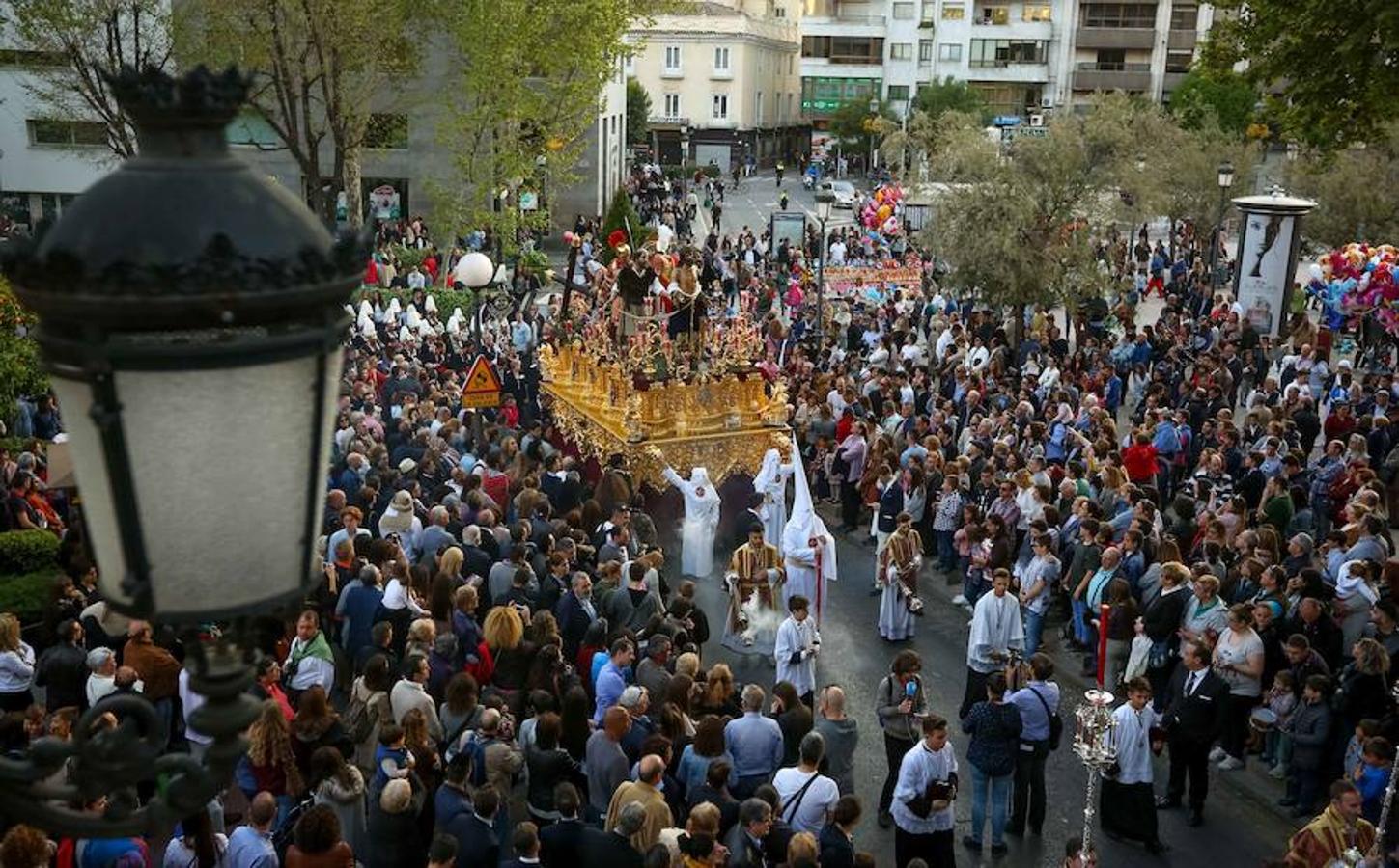 El Domingo de Ramos en Granada (II)