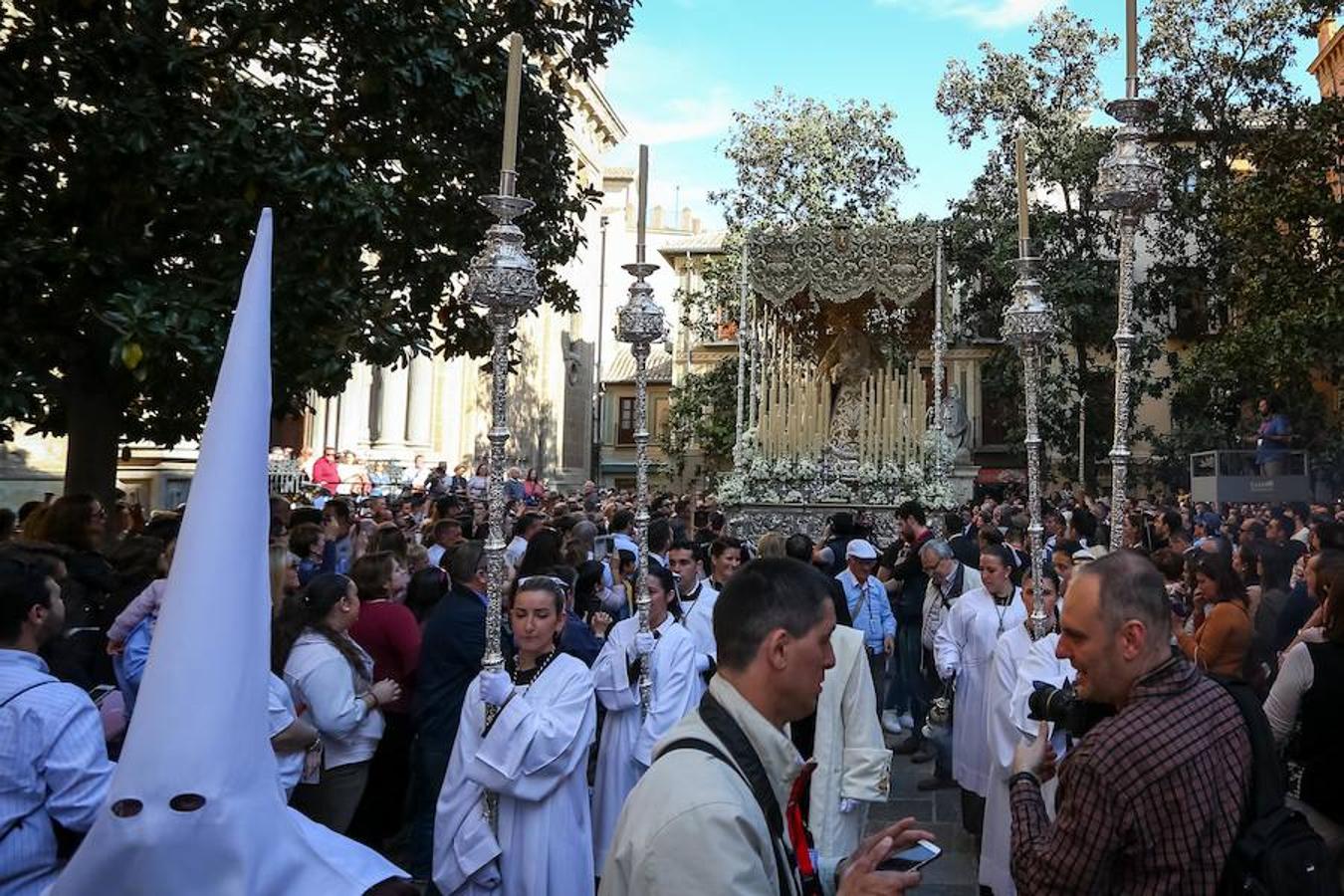 El Domingo de Ramos en Granada