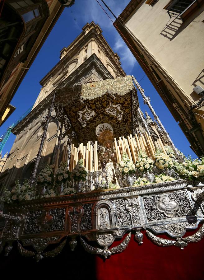 El Domingo de Ramos en Granada