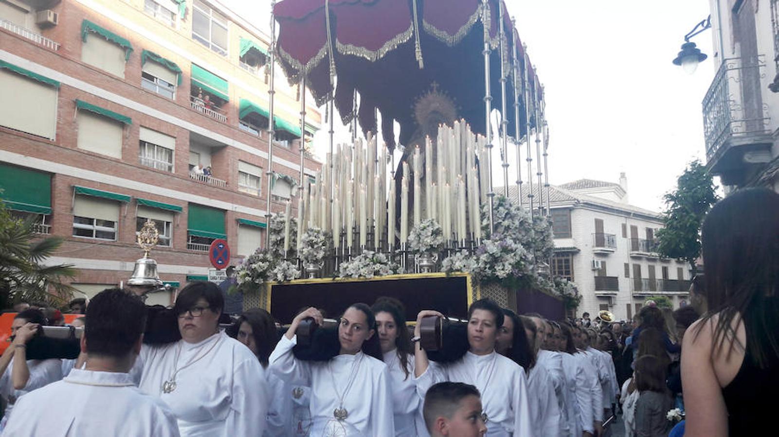 Domingo de Ramos en Loja