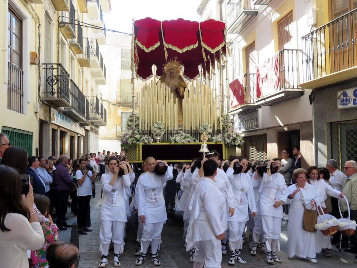 Domingo de Ramos en Loja