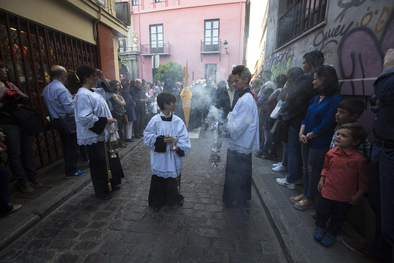 Cuando las chías tocan la trompeta