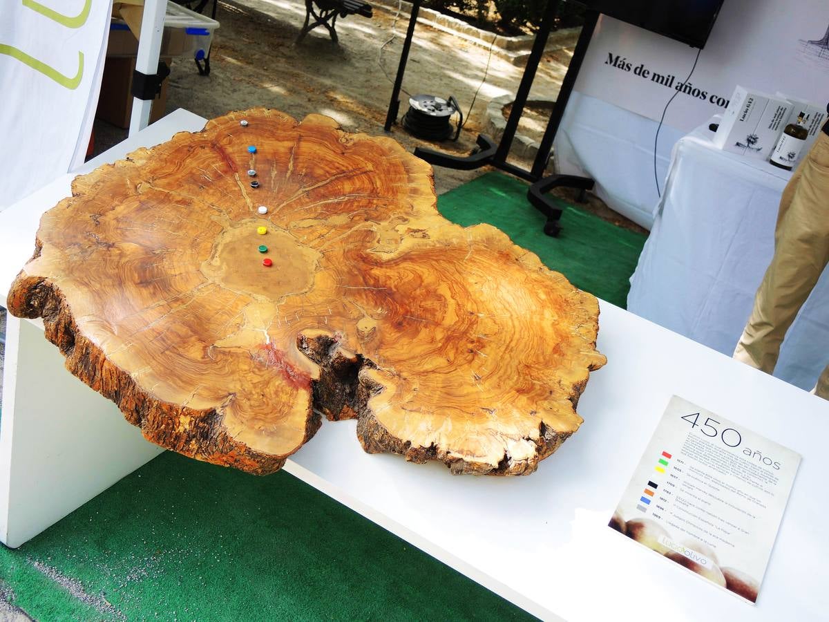 La Vega es una fiesta