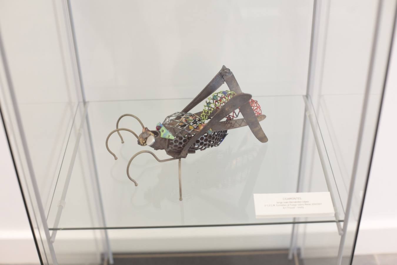 El Cuarto Real abre la puerta al arte creado desde el desecho