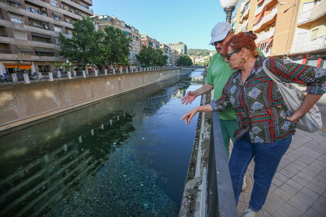 Un río de mosquitos y suciedad en Granada