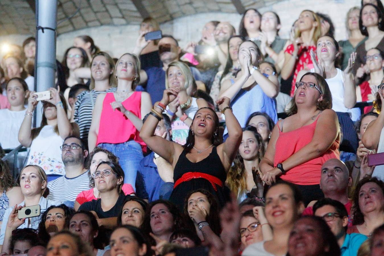 El mejor ambiente en el concierto de Ricky Martin en Granada