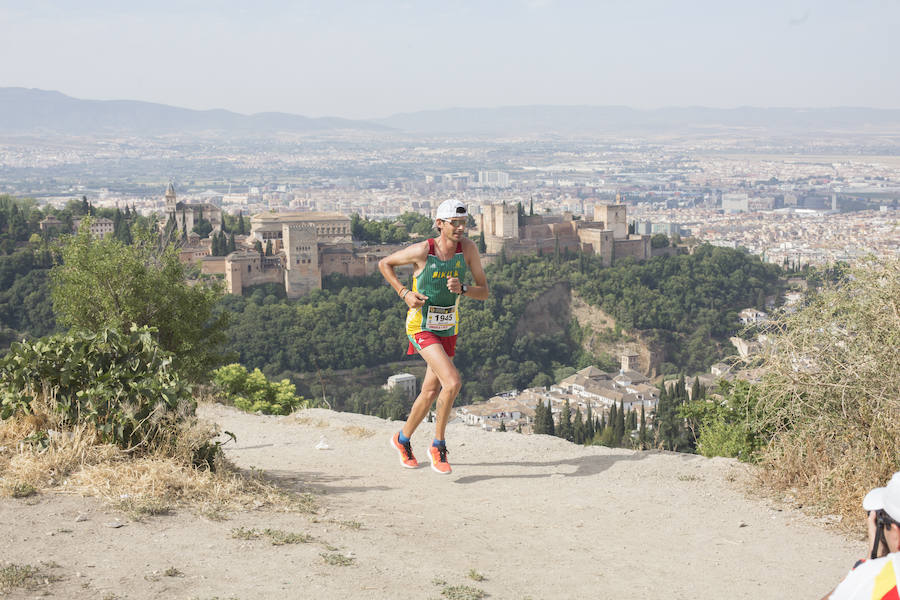 Con la Alhambra al fondo (I)