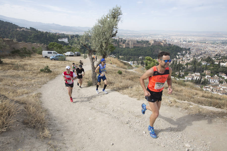 Con la Alhambra al fondo (I)