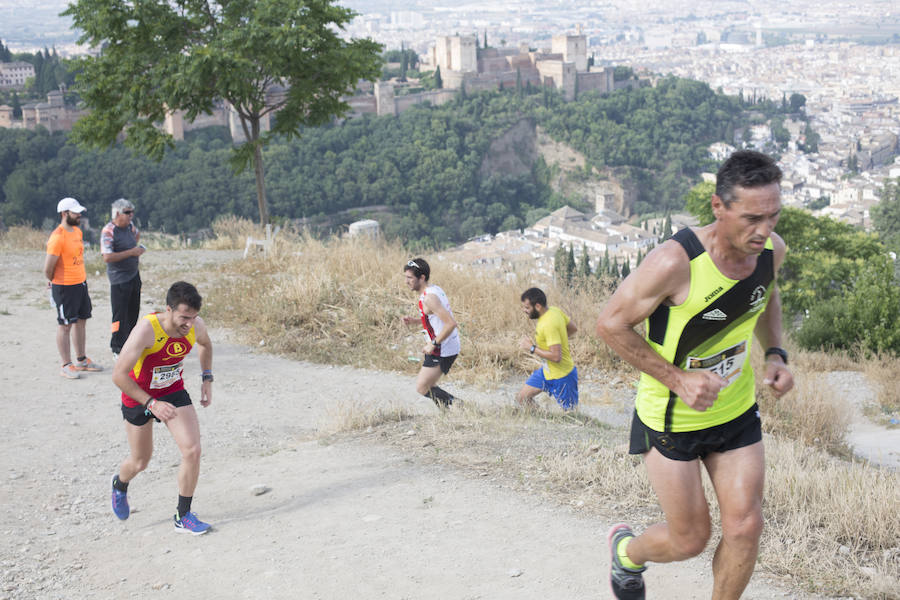 Con la Alhambra al fondo (I)