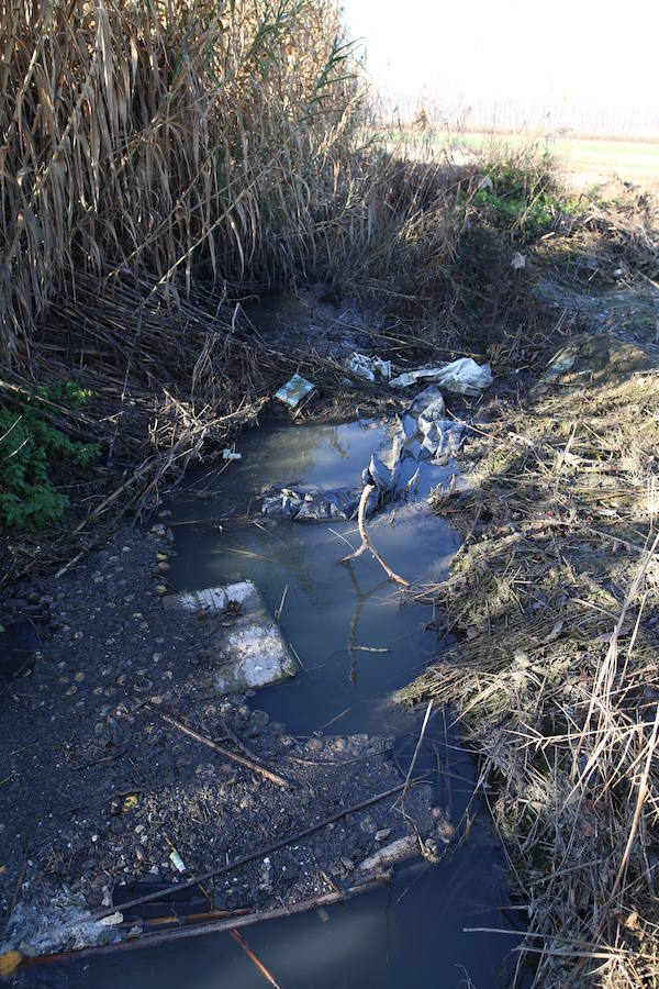 Depuración de aguas. 