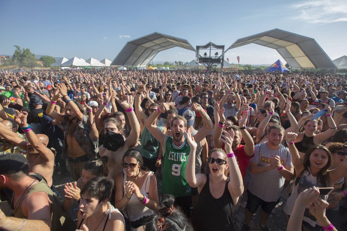 Bull Music: para todos los públicos