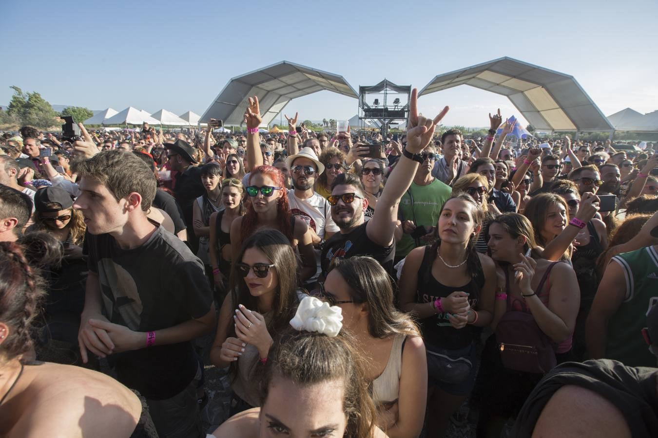 Bull Music: para todos los públicos