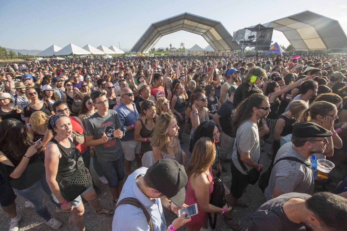 Bull Music: para todos los públicos