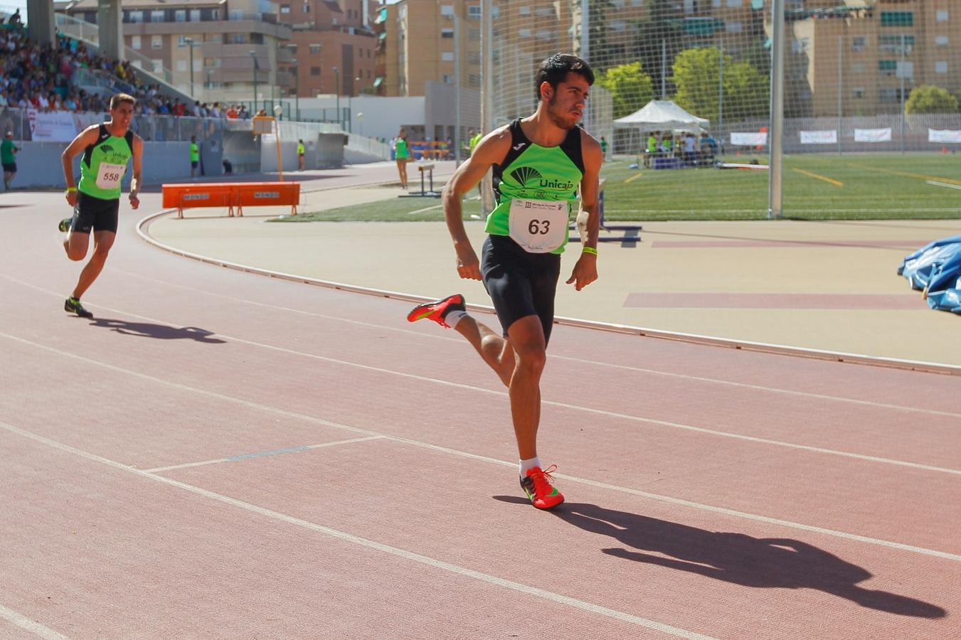 Granada luce en su fiesta del tartán