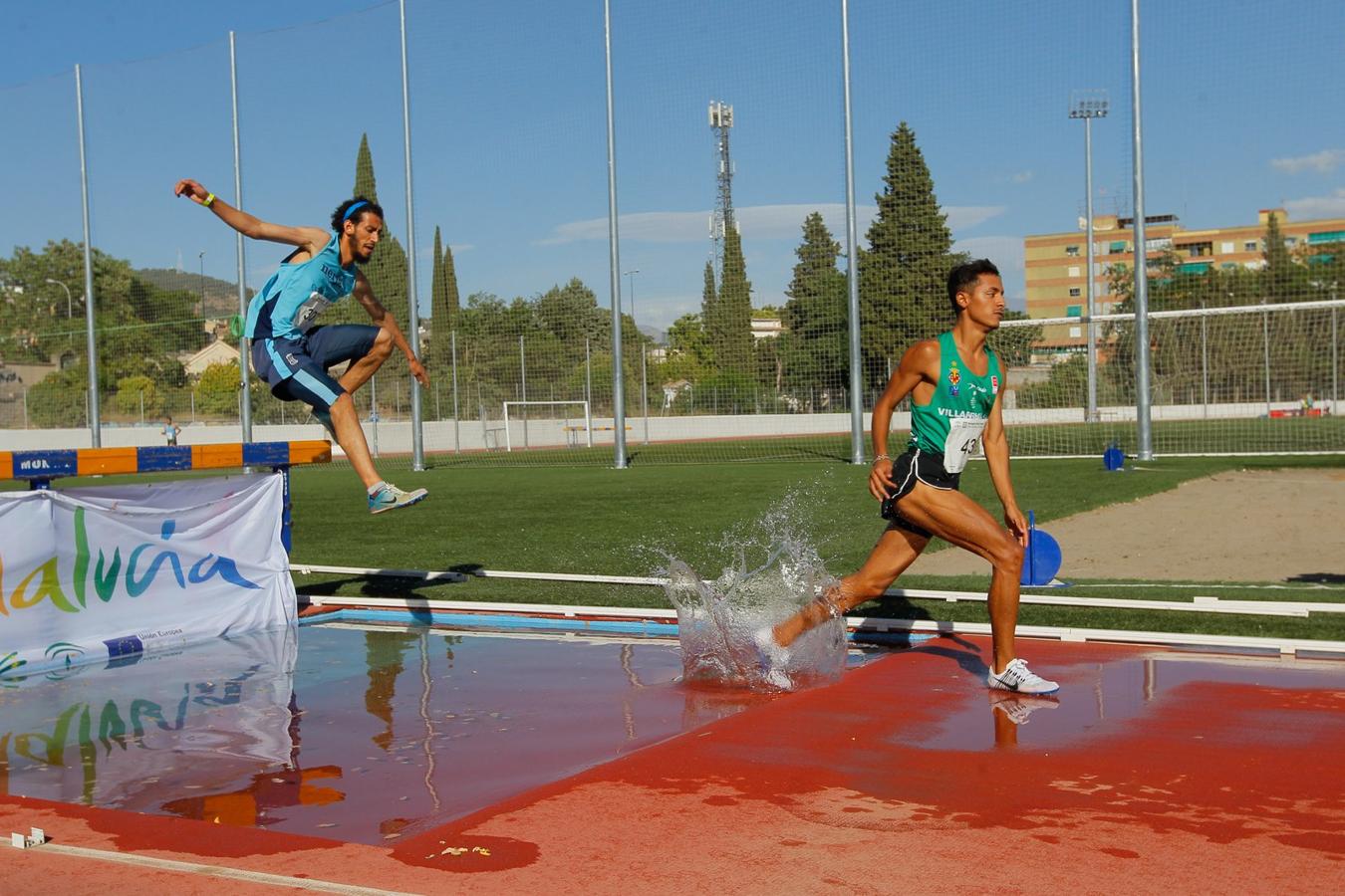 Granada luce en su fiesta del tartán