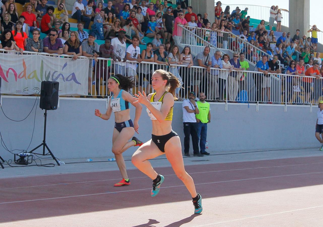 Granada luce en su fiesta del tartán