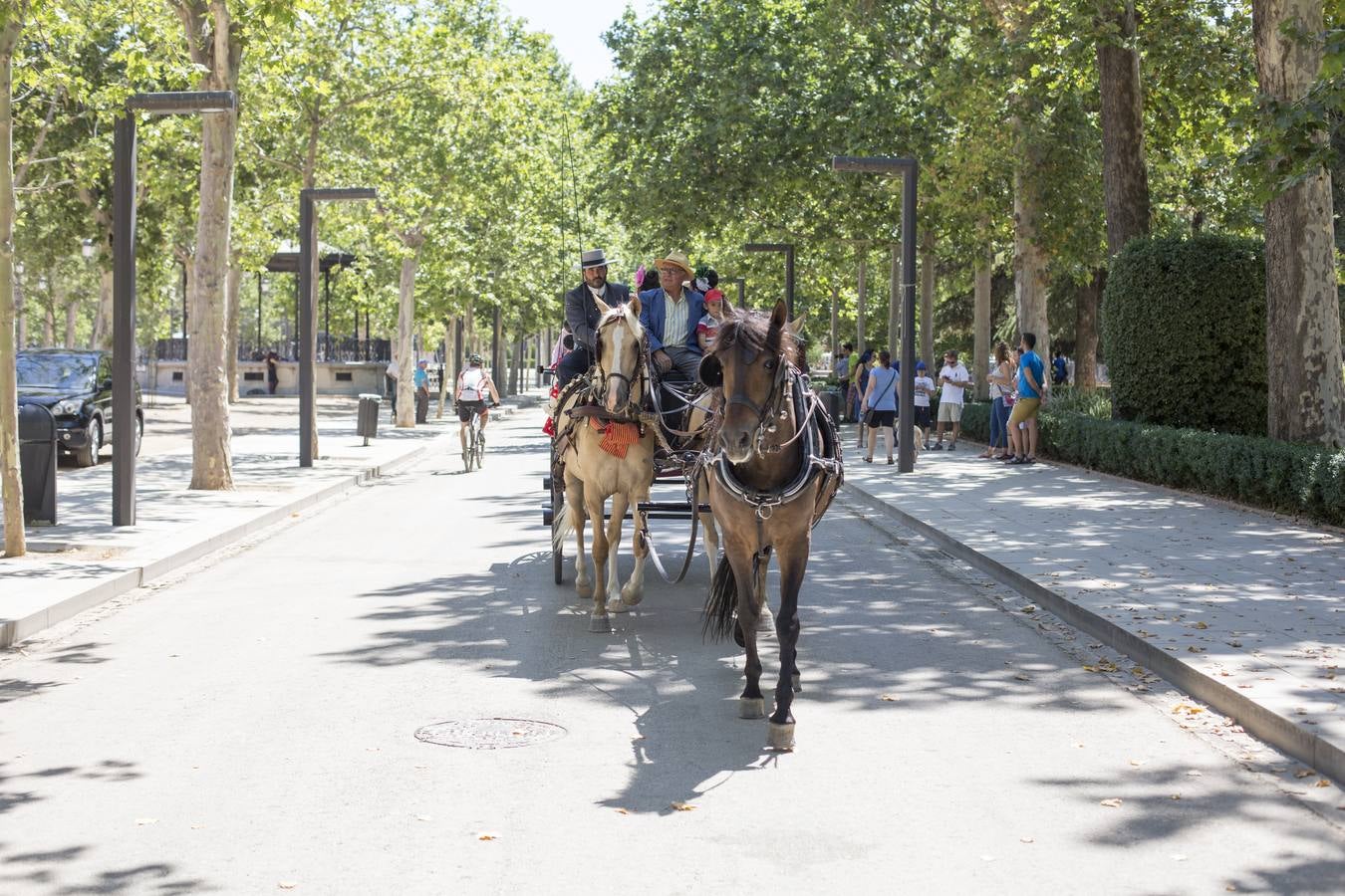 Resacón en la feria.... mogollón en la playa