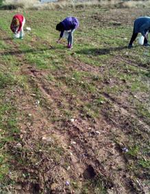 Imagen secundaria 2 - Los otros &#039;inquilinos&#039; del campo jienense