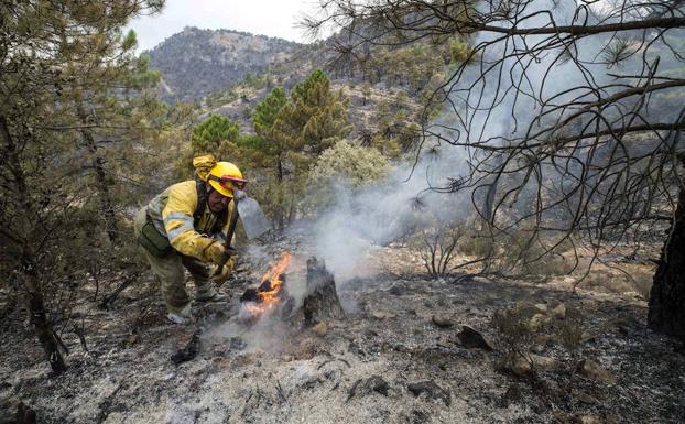 Un brigadista del retén forestal de Villaverde. 